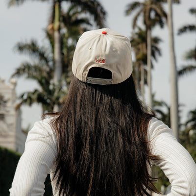 Text Me Later Hat
