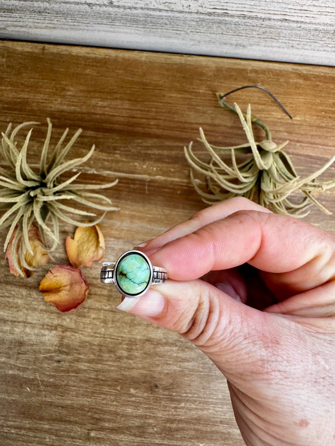 Sonoran Gold Turquoise Ring – Size 6.5 – Sterling Silver