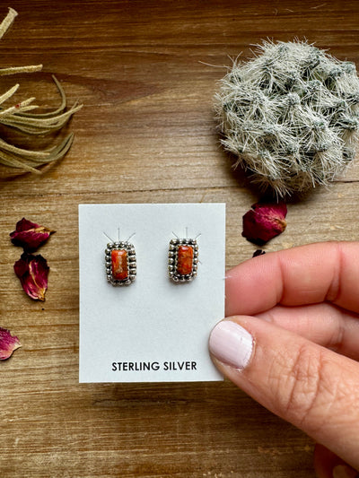 Stud rectangle spiny earrings