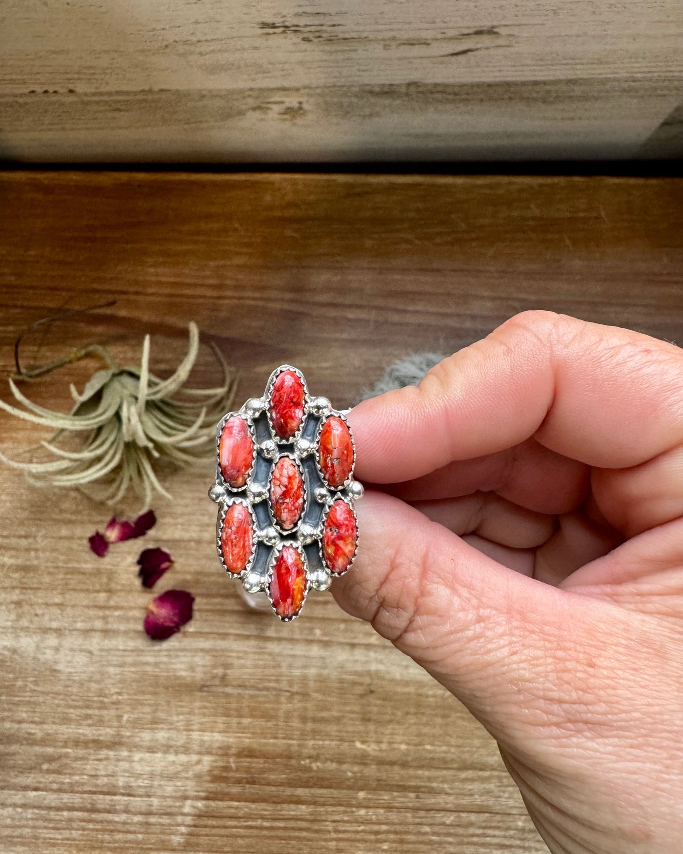 Cluster - size 7 - red spiny and sterling silver