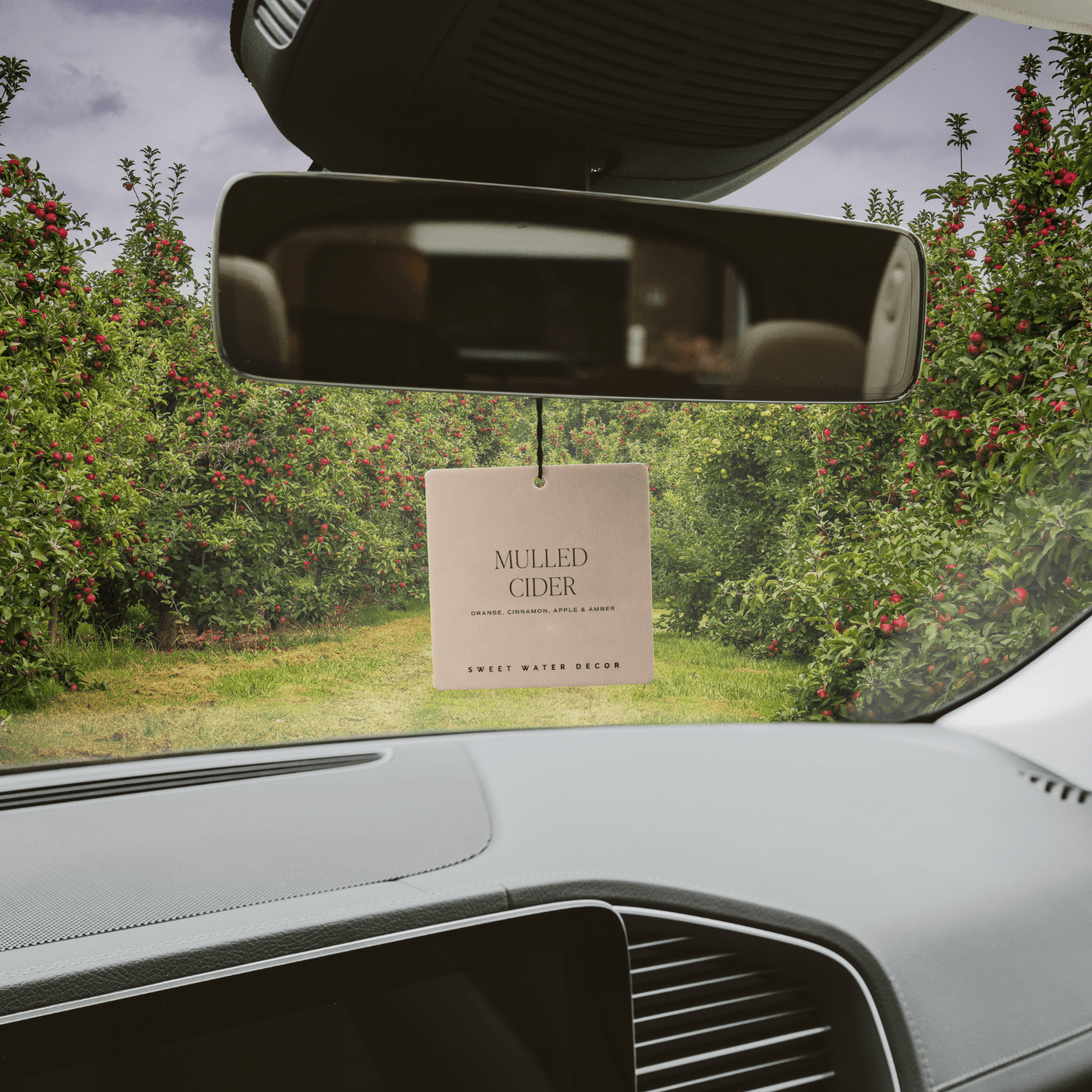 Mulled Cider Hanging Air Freshener