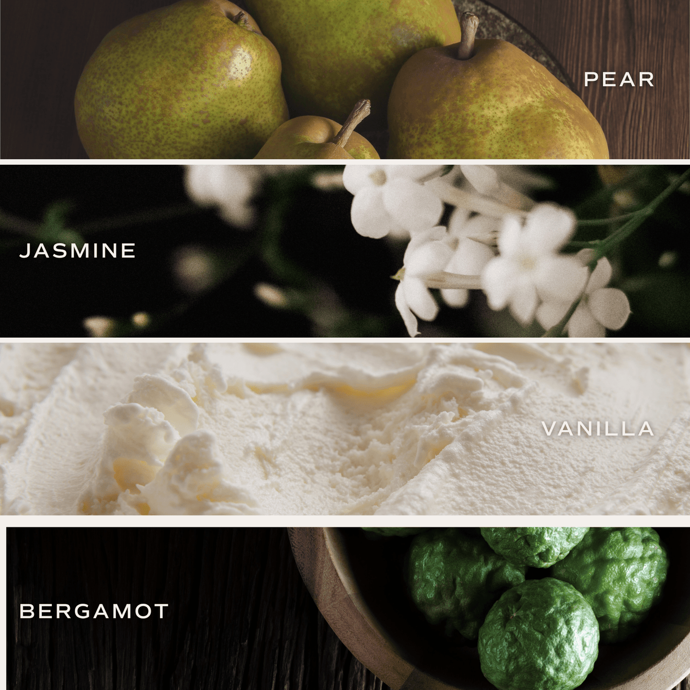 Favorite Sweater Soy Candle - Tan Matte Jar - 15 oz (Cashmere and Vanilla)