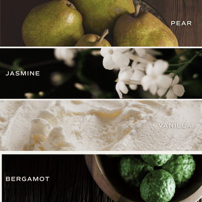 Favorite Sweater Soy Candle - Tan Matte Jar - 15 oz (Cashmere and Vanilla)