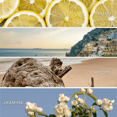 Coastal Lemon Clear Reed Diffuser