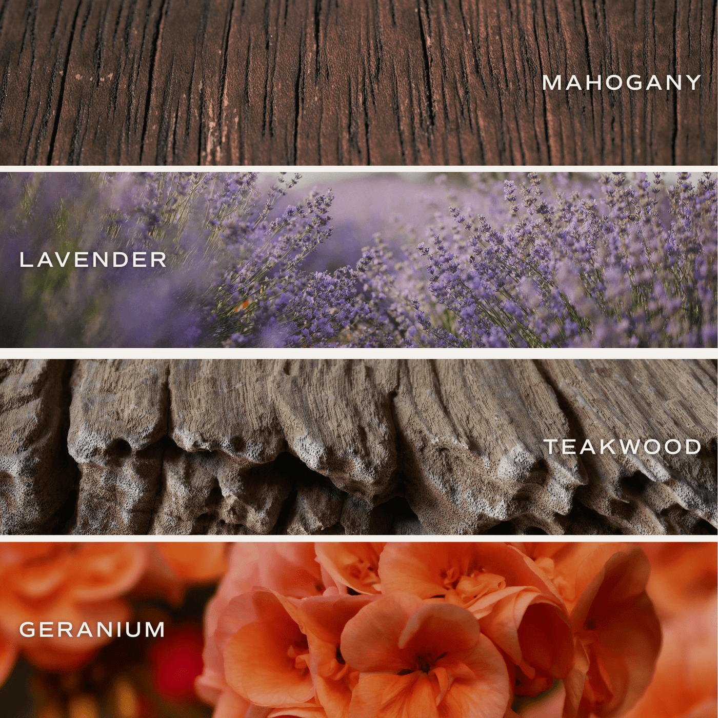 Driftwood and Mahogany Soy Candle - Amber Jar - 9 oz