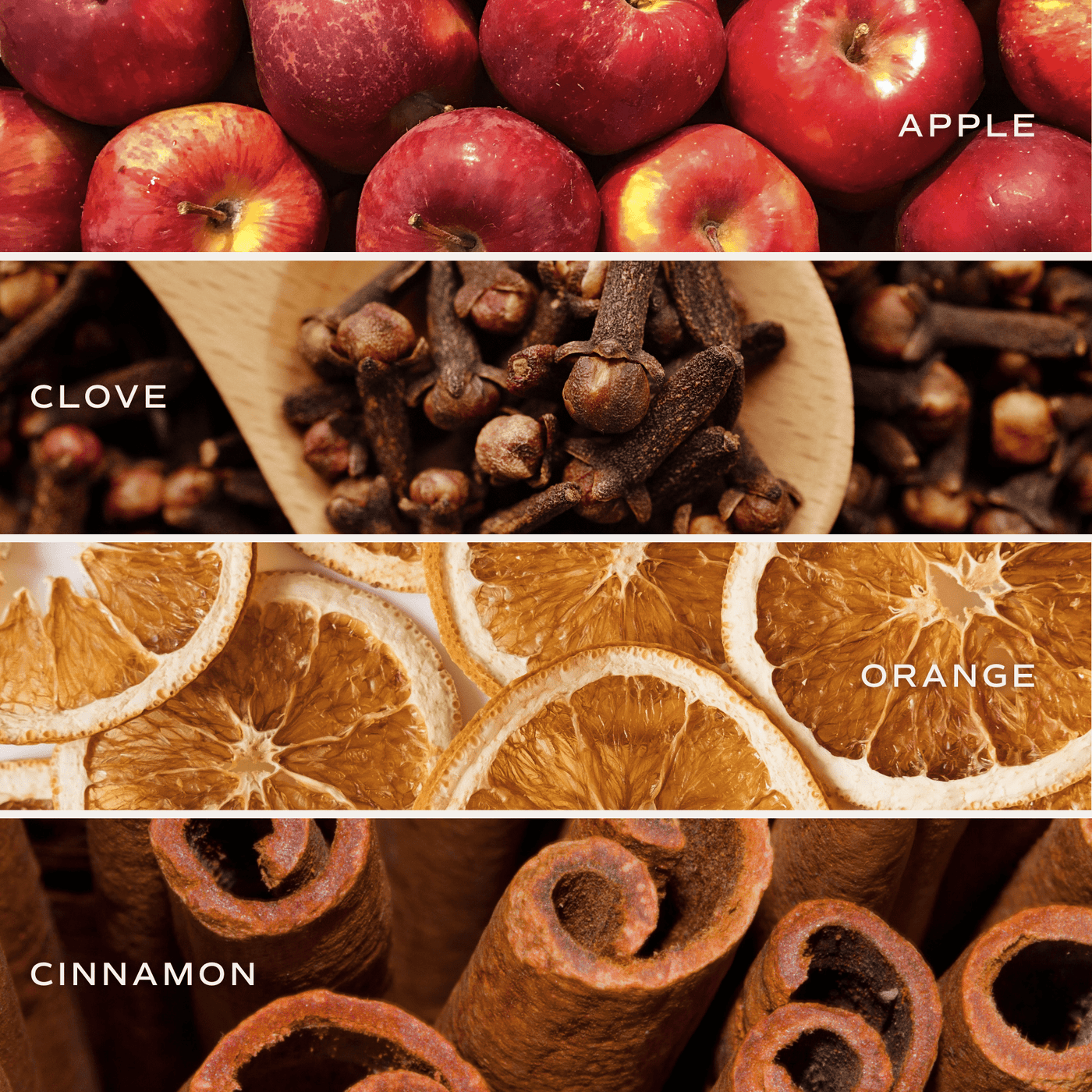 Farmhouse Clear Reed Diffuser