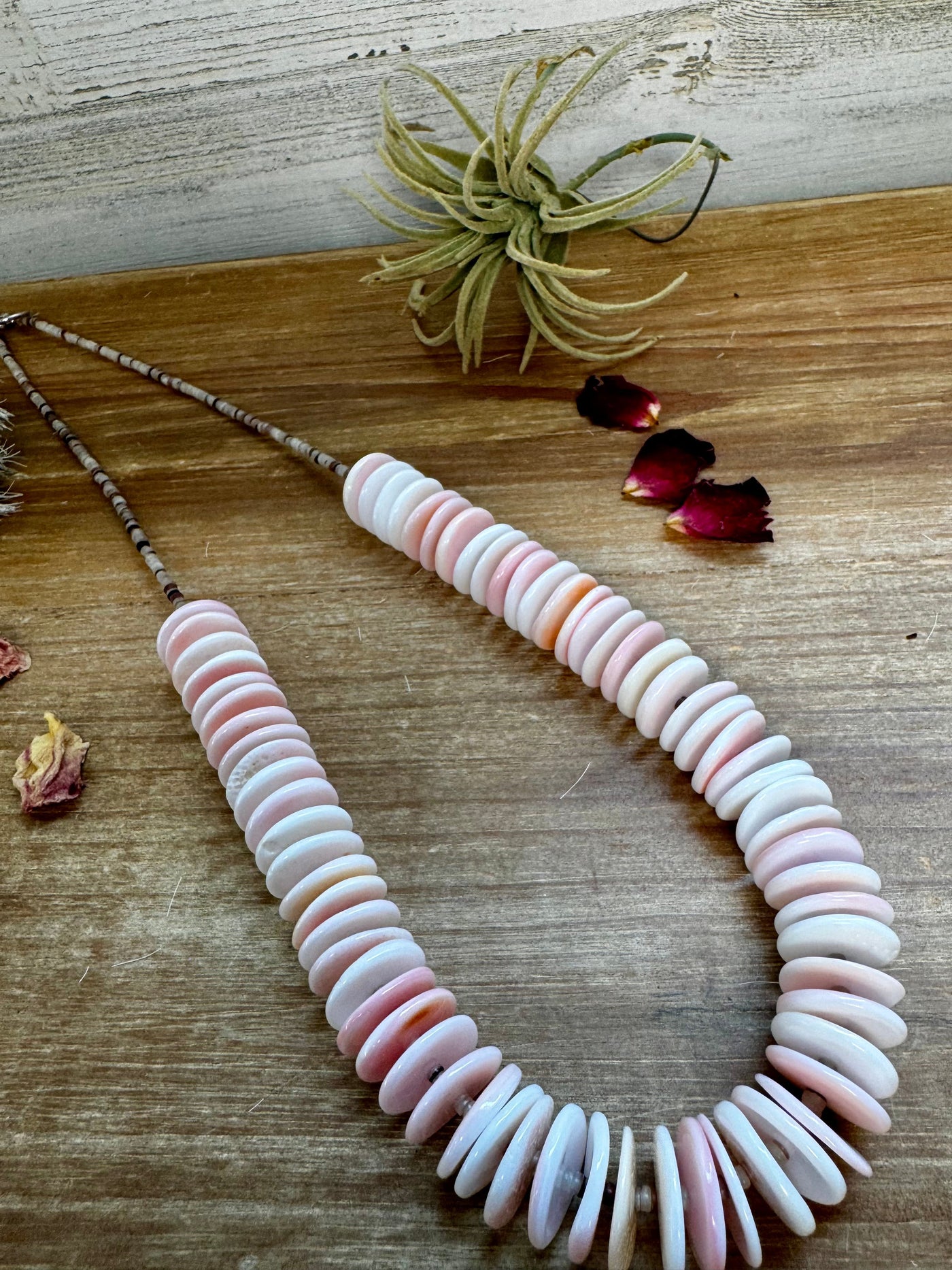 26 inch pink conch necklace