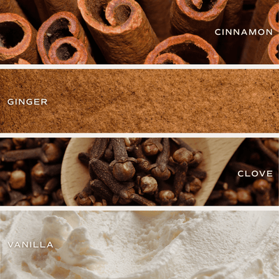 Gingerbread and Spice Soy Candle - White Jar - 11 oz