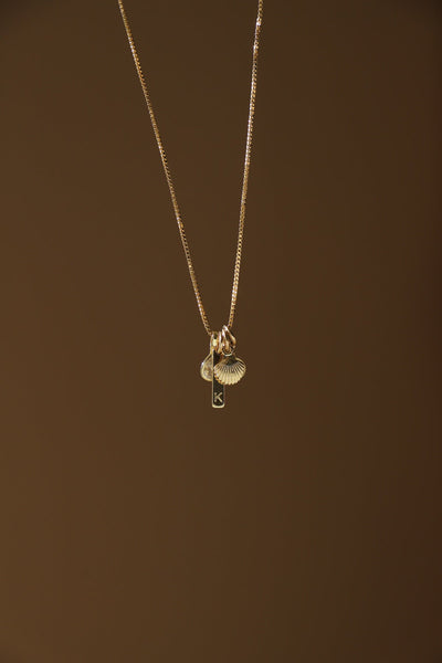 SHELL CHARM
