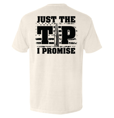 Just The Tip I Promise Flag