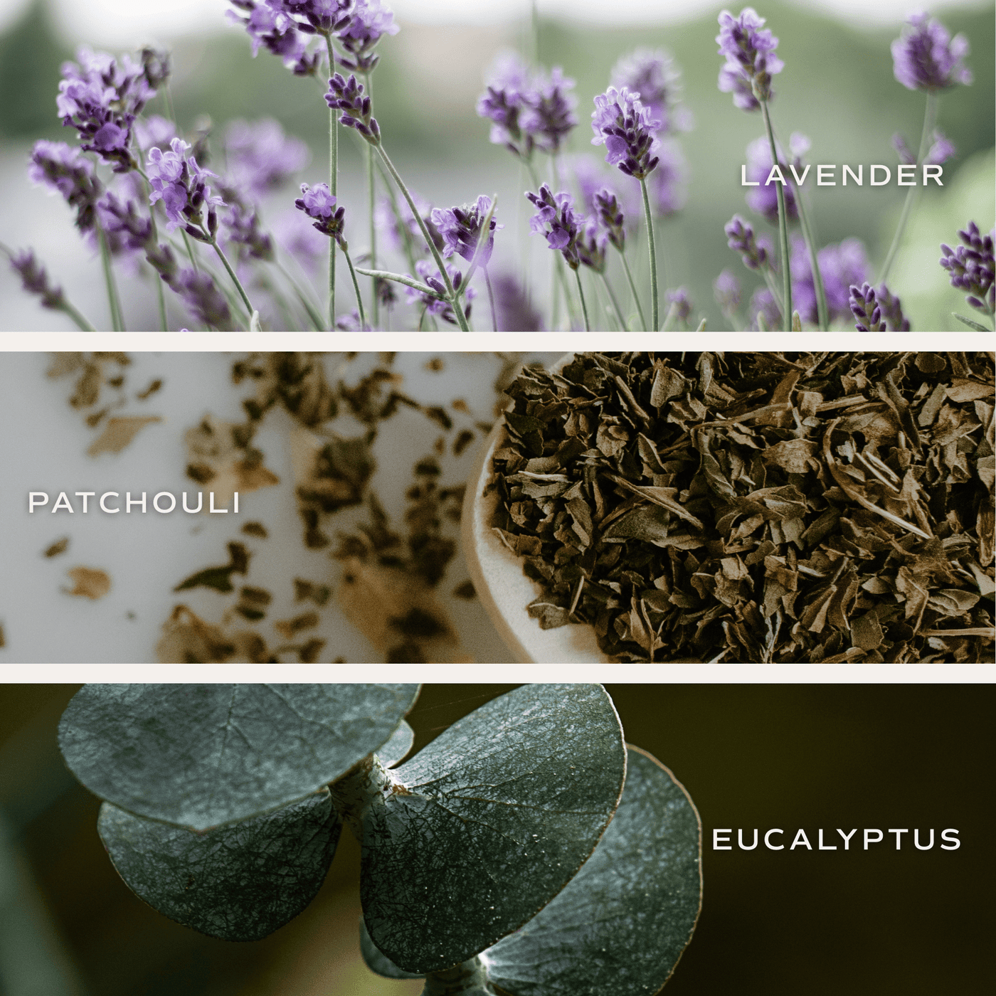 Lavender and Eucalyptus Soy Candle - Clear Jar - 9 oz (Self Care Calm and Comfort)