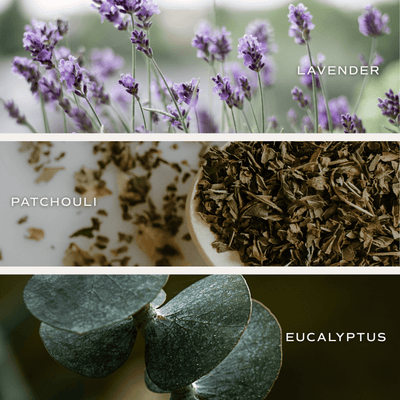 Lavender and Eucalyptus Soy Candle - Clear Jar - 9 oz (Self Care Calm and Comfort)