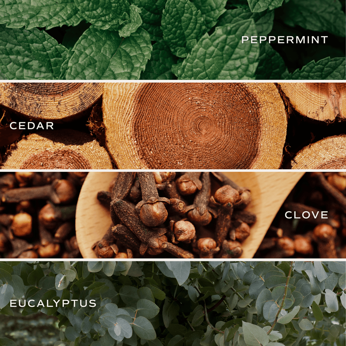 Relaxation Soy Candle - Clear Jar - 9 oz