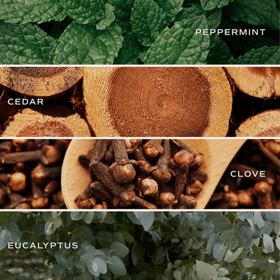 Relaxation Soy Candle - Clear Jar - 9 oz