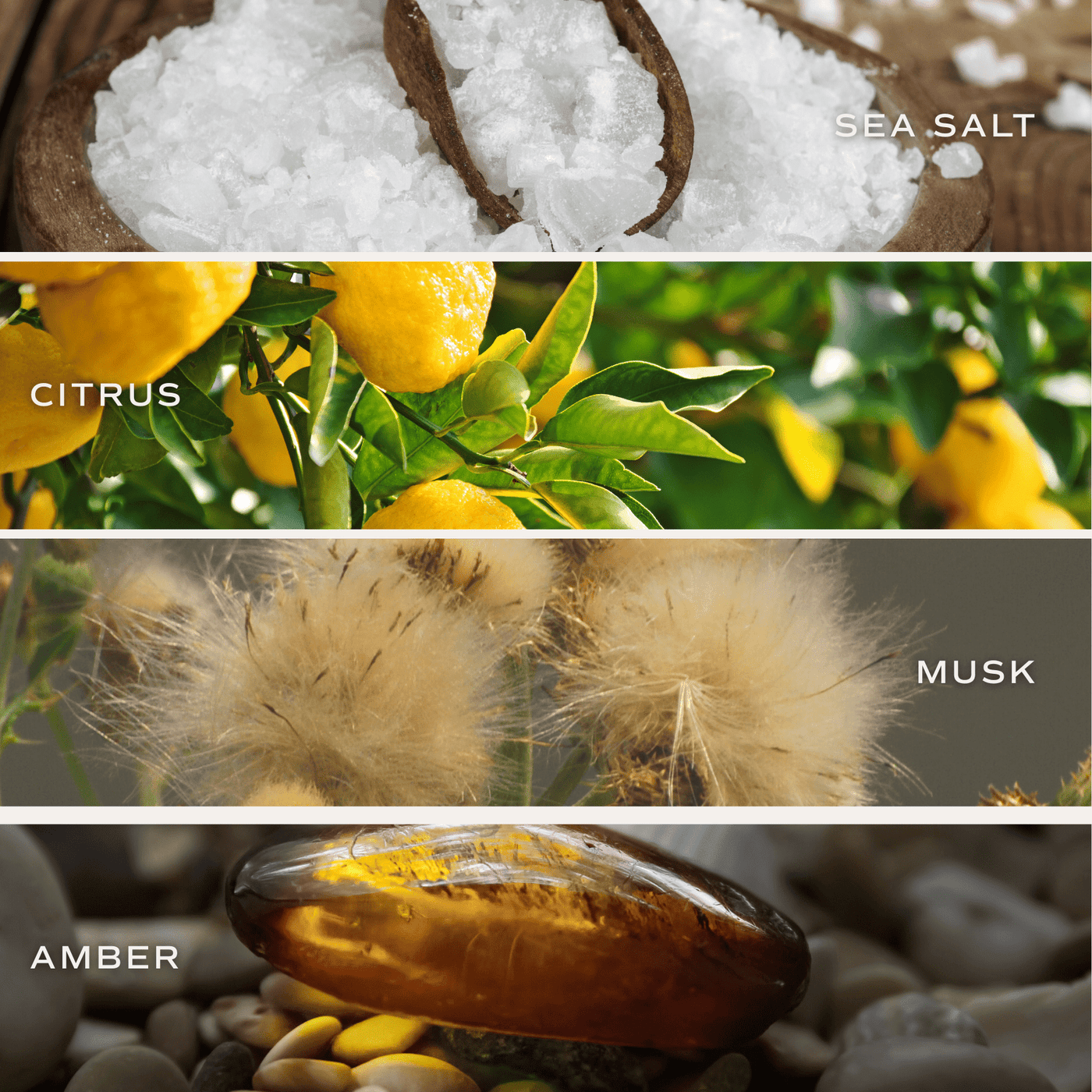 Salt and Sea Soy Candle - Tan Matte Jar - 15 oz