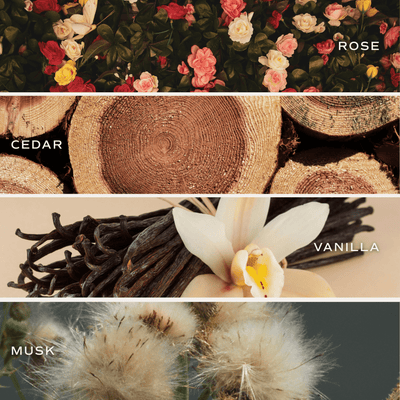 Sandalwood Rose Soy Candle - Tinted Glass Jar - 12 oz