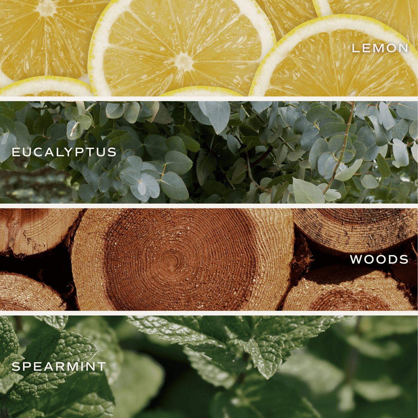 Stress Relief Soy Candle - Clear Jar - 9 oz