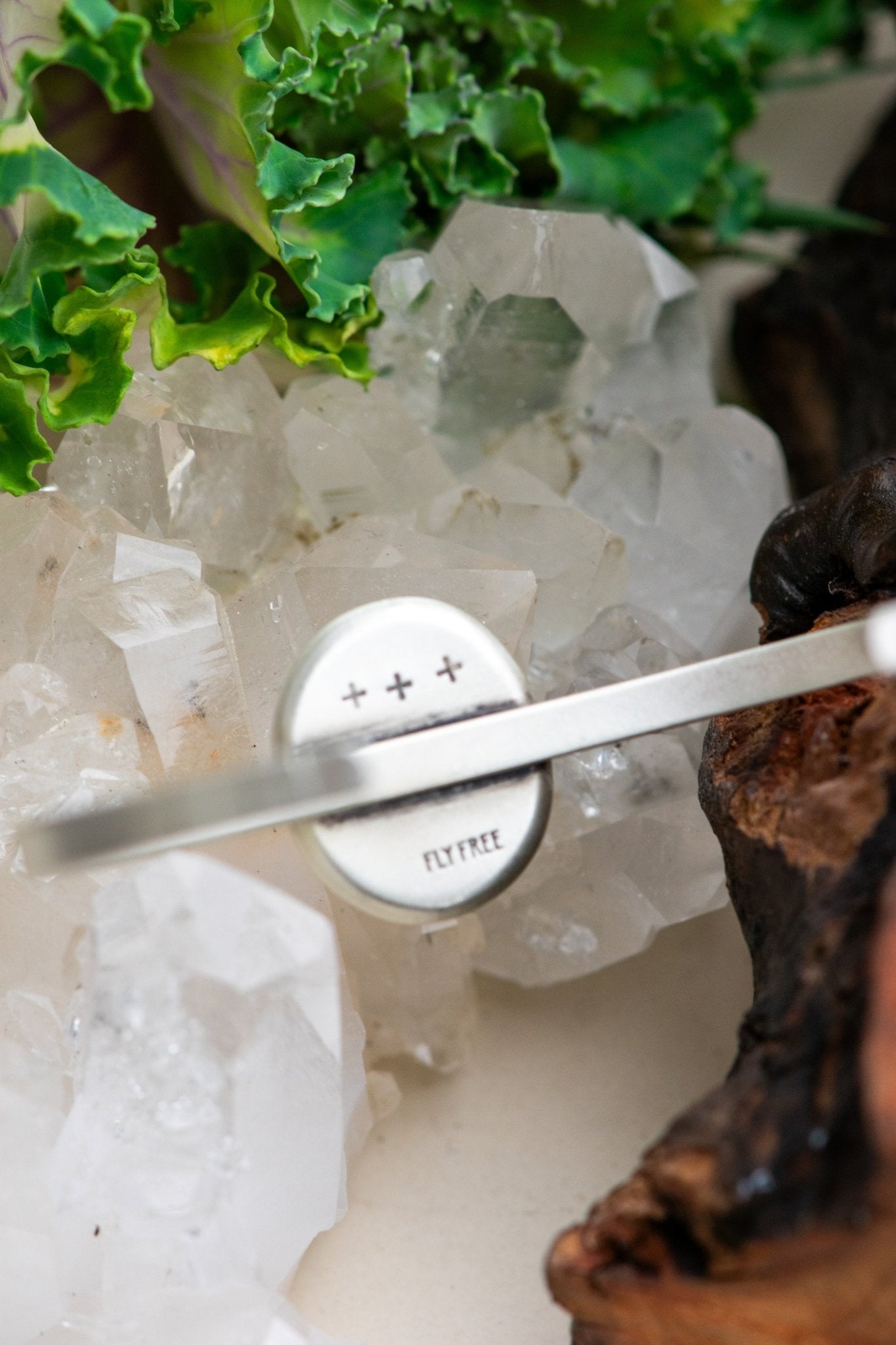 AGES FISH FOSSIL CUFF