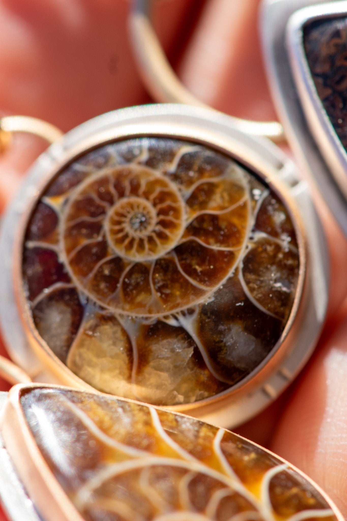 ANCIENT SHORES AMMONITE NECKLACES