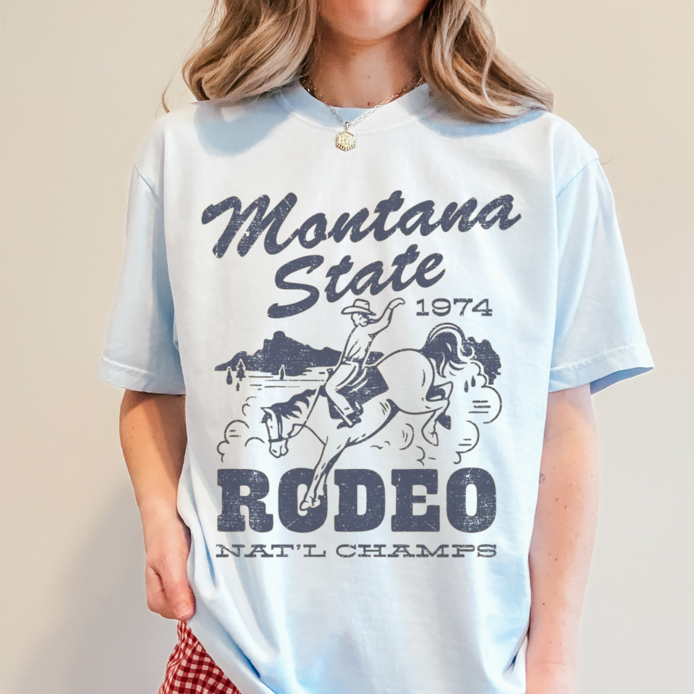 Montana State Rodeo Graphic Tee | Vintage Western Cowboy T-Shirt