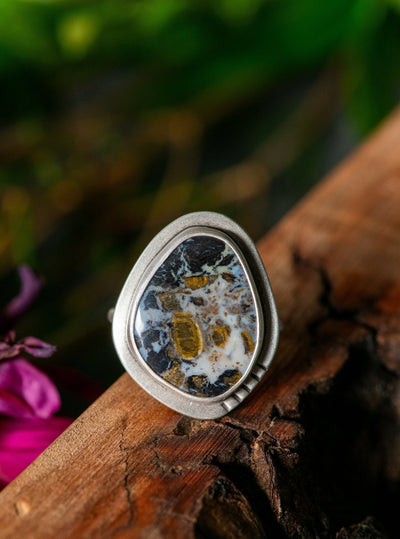 CHARRED TIMBER OLD WOOD RING