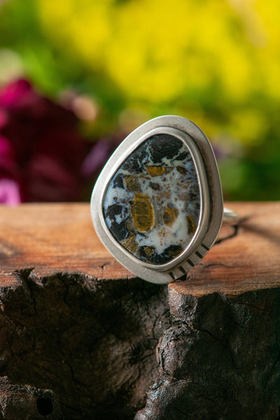 CHARRED TIMBER OLD WOOD RING