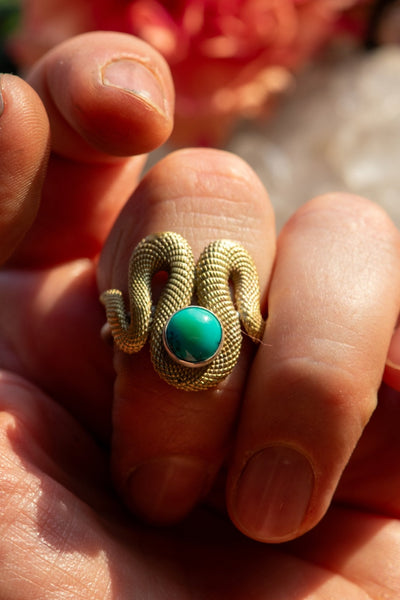 DEEP FOREST OUROBOROS SET - SIZE 10 + 11