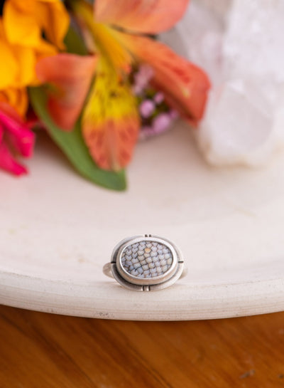 FINAL FISH FOSSIL RING