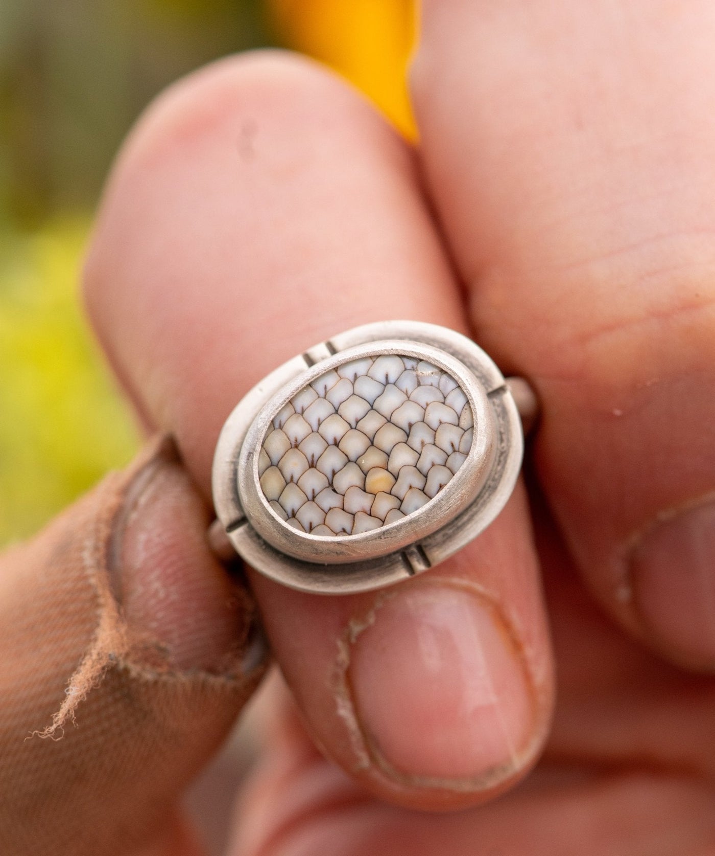 FINAL FISH FOSSIL RING