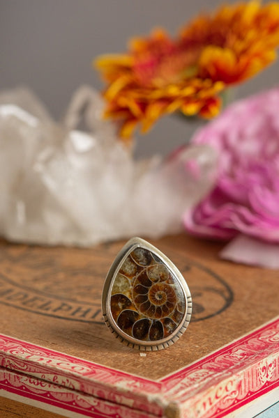 OLD STORIES AMMONITE RING