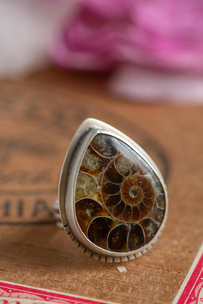 OLD STORIES AMMONITE RING