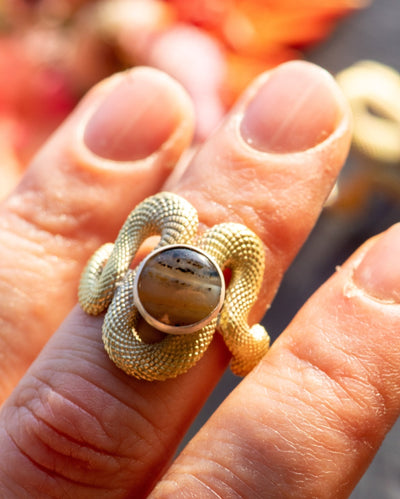 OUROBOROS COMPASSION SET SIZE 8 RINGS