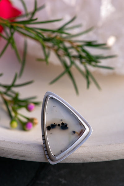 PROUD MONTANA AGATE RING