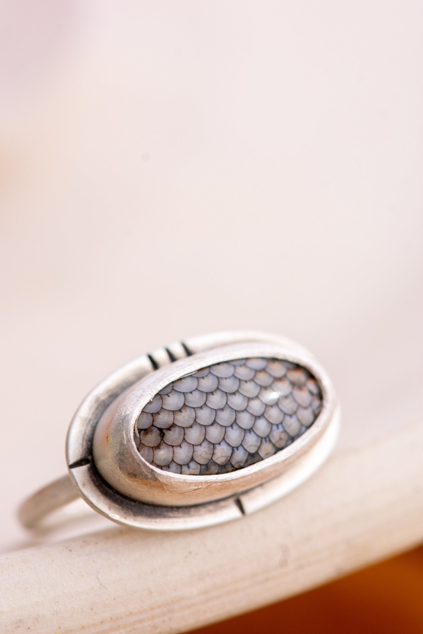 SUNSET FISH FOSSIL RING