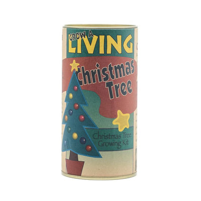 Living Christmas Tree | Balsam Fir | Seed Grow Kit - Brazen Ranch